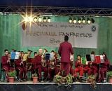 Festivalul Fanfarelor Sighisoara